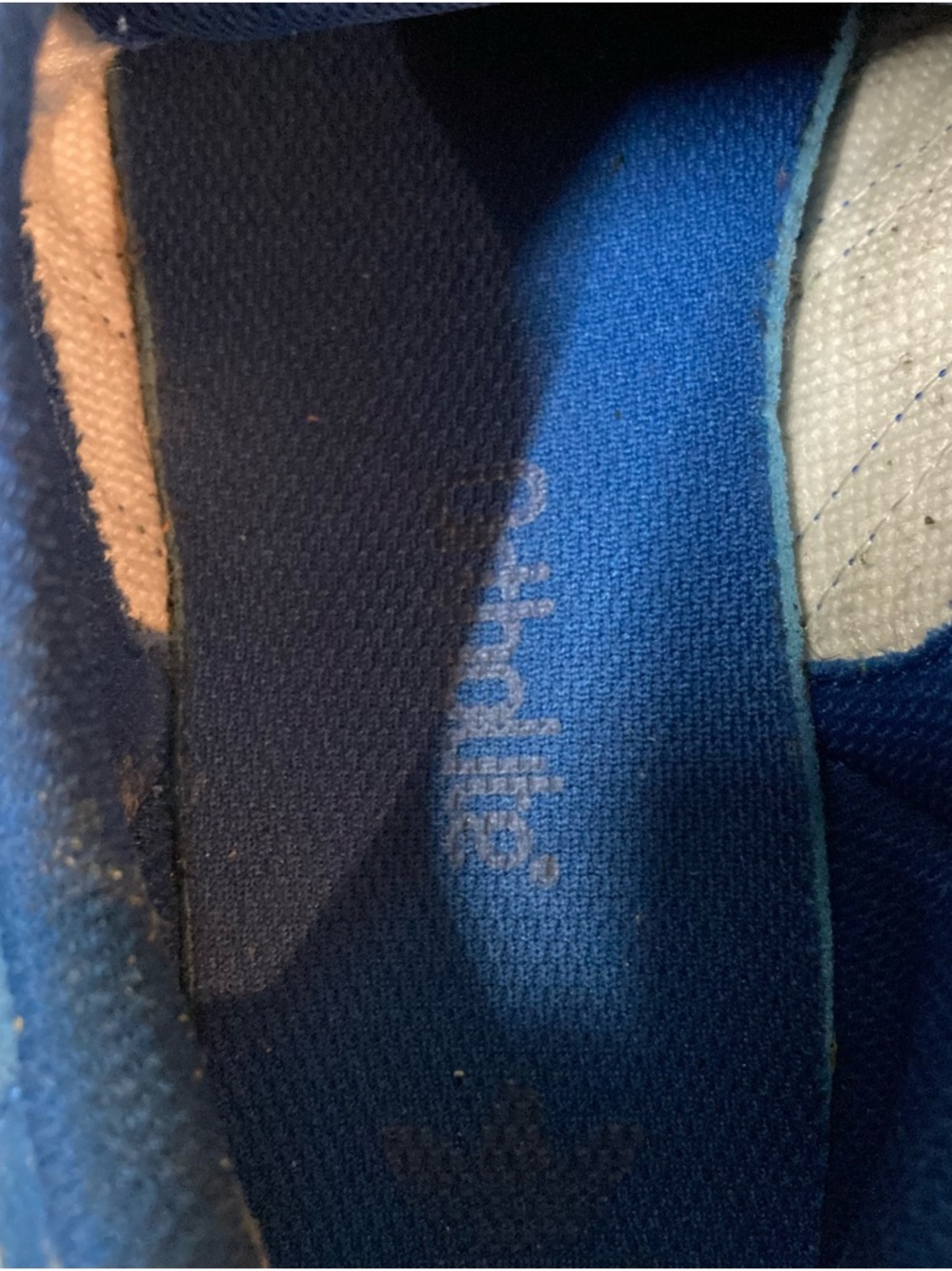 adidas Blue Shell-Toe Sneakers - Picture 7 of 7
